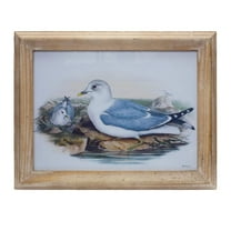 Melrose Framed Sea Bird Print Under Glass 16.5"L Wall Decor, Nautical, Rustic