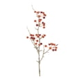 thumbnail image 1 of Melrose 6 Piece Set Berry Pod Artificial Thanksgiving Sprays 26", 1 of 3