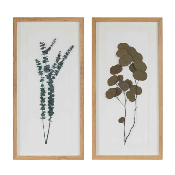 Melrose Dried Eucalyptus Framed Wall Art - 14" x 27.5" - Set of 2