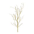 thumbnail image 1 of Melrose 2 Piece Set Gold Glitter Artificial Christmas Branches 43", 1 of 3
