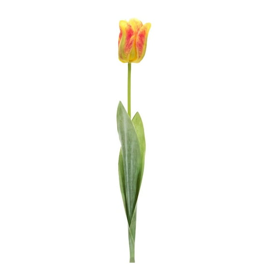 Melrose International LLC Tulip Stem (Set of 6) 27"H Polyester/Plastic
