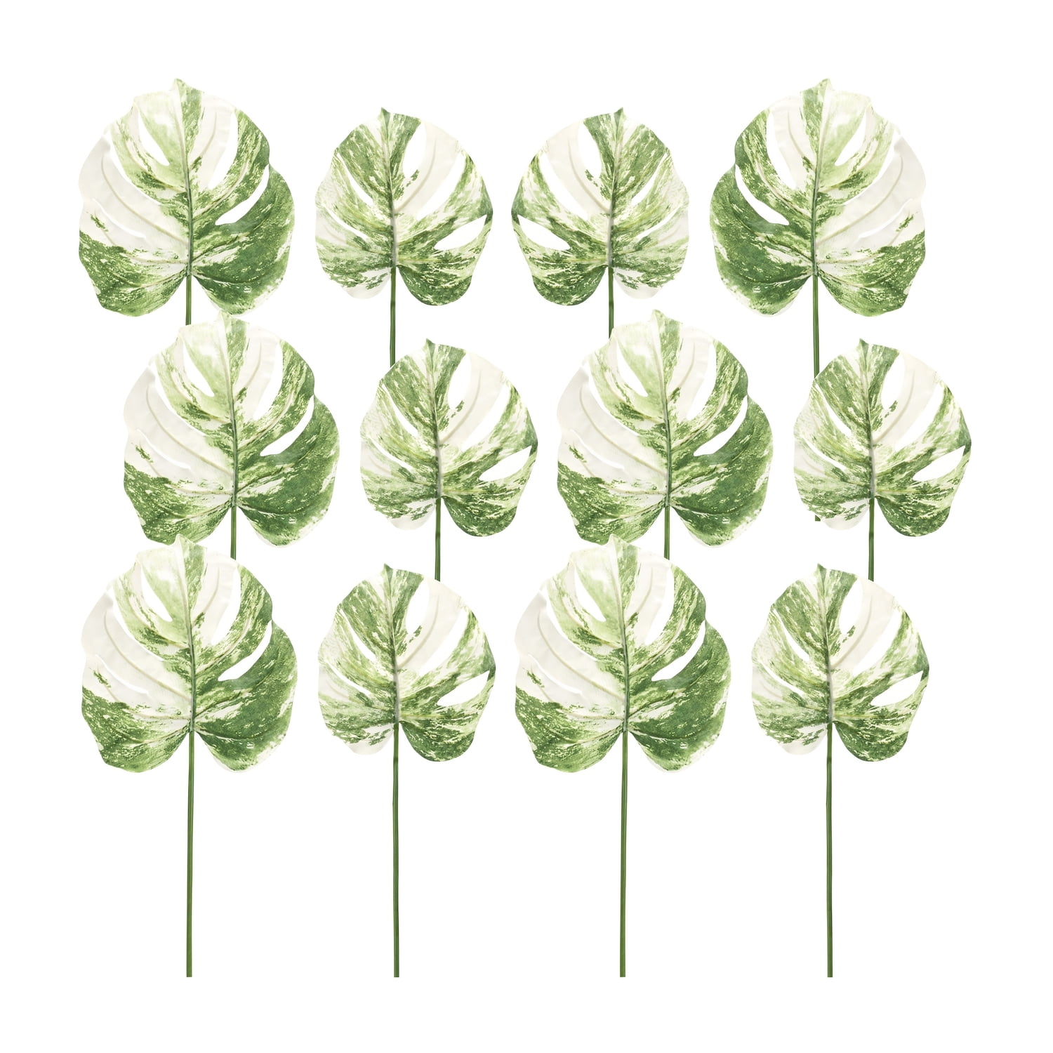Variegated Green and White Philo Leaf Stems with Lights, Set of 12