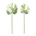 thumbnail image 1 of Melrose International Light Varigated Philo Leaf Stem (Set of 12), 1 of 2