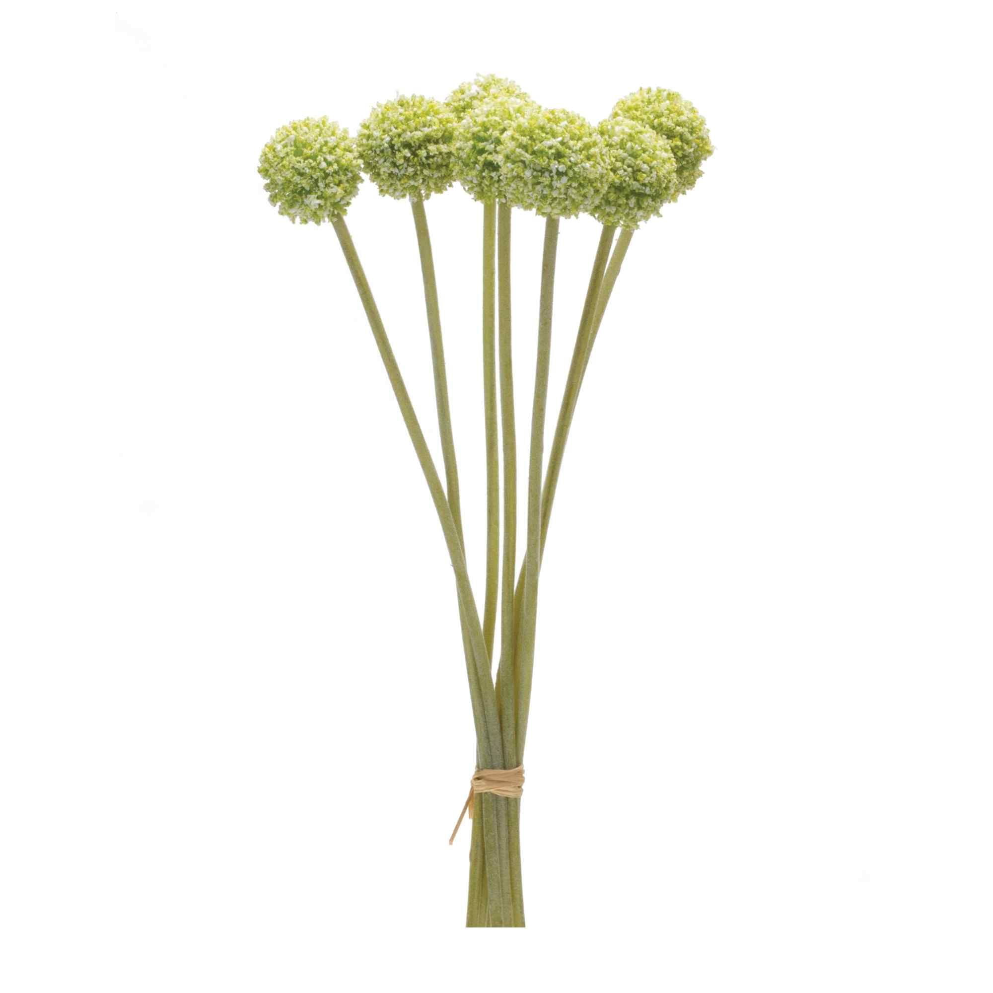 Yellow and Green Plastic Pod Bundle Set of 6