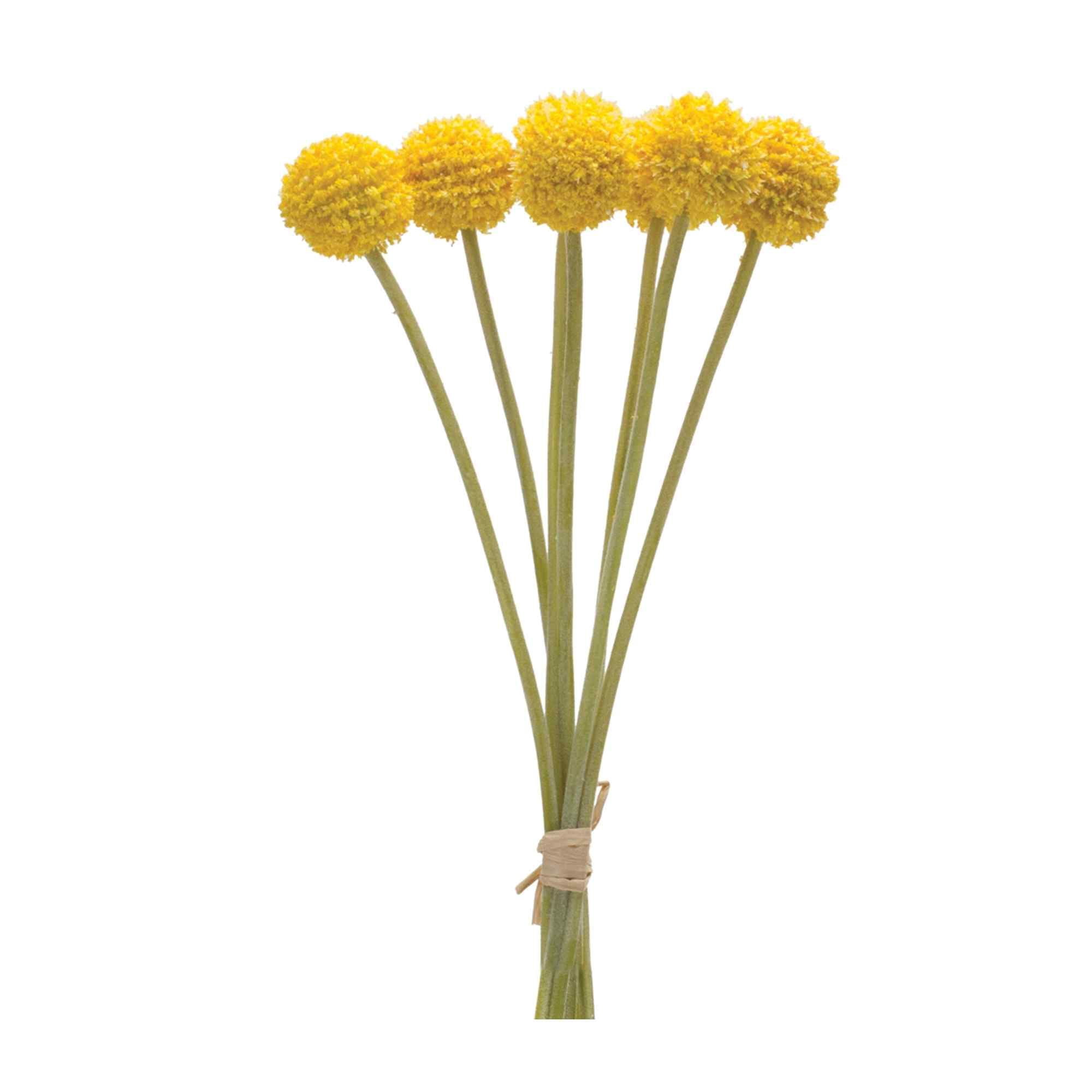 Yellow and Green Plastic Pod Bundle Set of 6