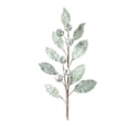 thumbnail image 1 of Melrose Set of 2 Glittered Pod Leaf Christmas Artificial Sprays 29", 1 of 4