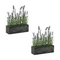 thumbnail image 1 of Melrose International Potted Lavender (Set of 2) 11.5"L x 14.75"H Plastic, 1 of 2