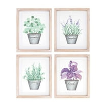 Melrose Watercolor Herb Framed Wall Art - 8" x 6.5" - Set of 4