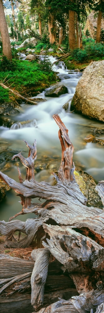 Meltwater from Teton Glacier Glacier Gulch Grand Teton National Park Wyoming USA Canvas Art - Panoramic Images (27 x 9)