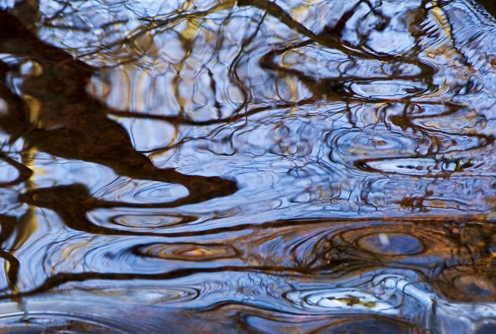 Melusina Rhode Island Bristol Blithewood Ripples And Reflections On Water Surface Canvas Art - Joanne Baldaia Design Pics (34 x 22)