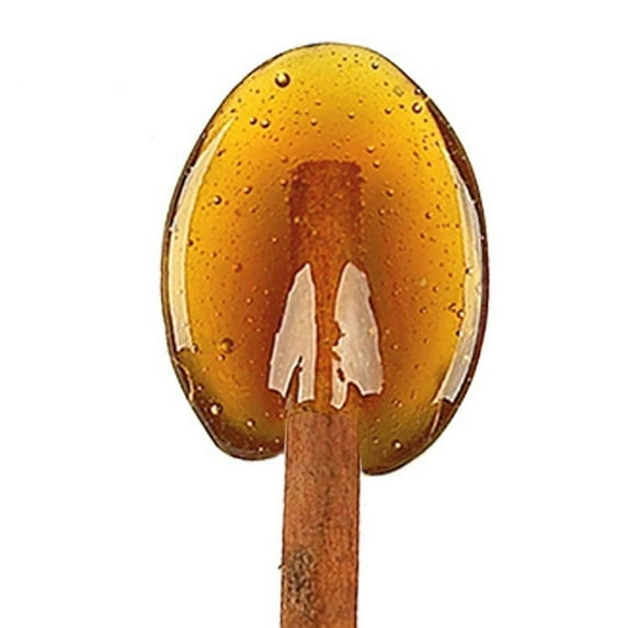 Melville Candy Clover Honey Cinnamon Spoons, 0.5 Ounce - 30 Count Bucket