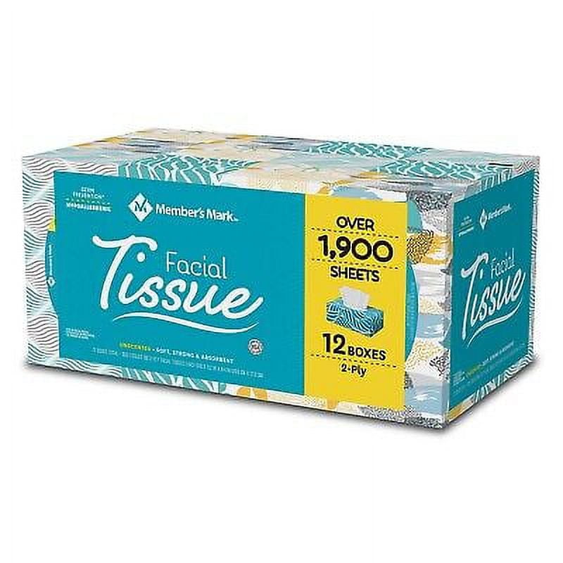Bokon 12 Pack Facial Tissues Cube Boxes Square Tissues Boxes 2 Ply