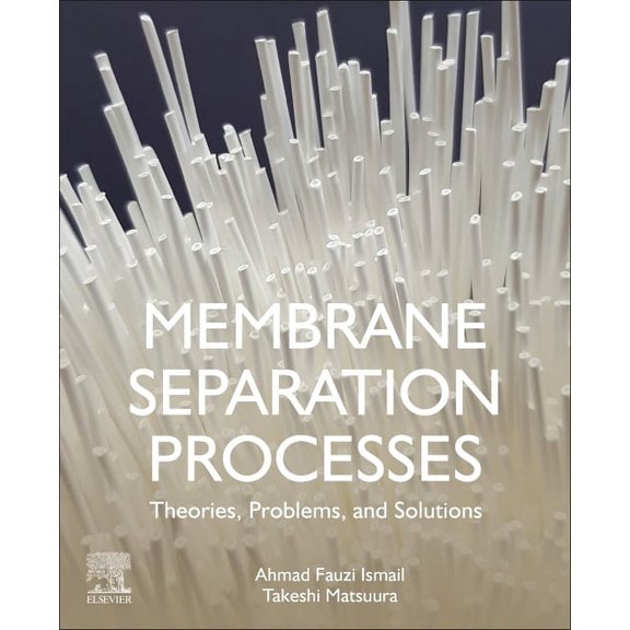 Membrane Separation Processes: Theories, Problems, and Solutions, (Paperback)