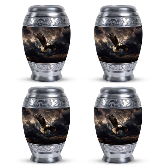 Memorial Eagle With Rain Clouds In Background Urn For Ashes Adult Mother & Father - Urns For Adult Female Mom & Men - Memorial Urns And Keepsakes For Ashes (Size - 3inch, 4Pcs)
