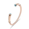 thumbnail image 1 of Memorial Stainless Steel Bangle with LightBlue Birthstone Cremation Jewelry for Ashes Funeral Urns Bracelet, 1 of 7