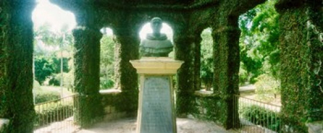 Memorial statue in the house of cedar Jardim Botanico Zona Sul Rio de Janeiro Brazil Canvas Art - Panoramic Images (30 x 13)