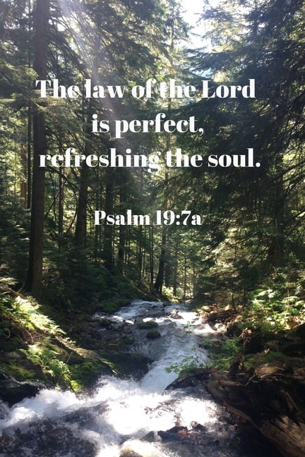 Memorizing the Bible: The Law of the Lord Is Perfect, Refreshing the ...