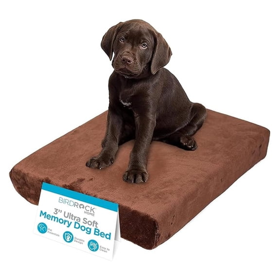 Memory 3" Memory Dog Bed | Ultra Soft Plush Pet Bed | Pet Mat (22 x 16, Brown)