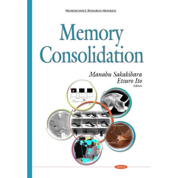 Memory Consolidation