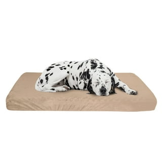 Outdoor Dog Bed - 37x24 Roll-up Travel Bed with Memory Foam and