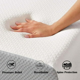 Softest foam 2024