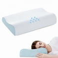thumbnail image 1 of Cervical Memory Foam Pillow for Sleeping and Neck and Shoulder Pain Relief, Orthopedic Contour Pillow Bed for Side, Back, Stomach Sleepers, Removable and Washable Cover, Blue, 1 of 8