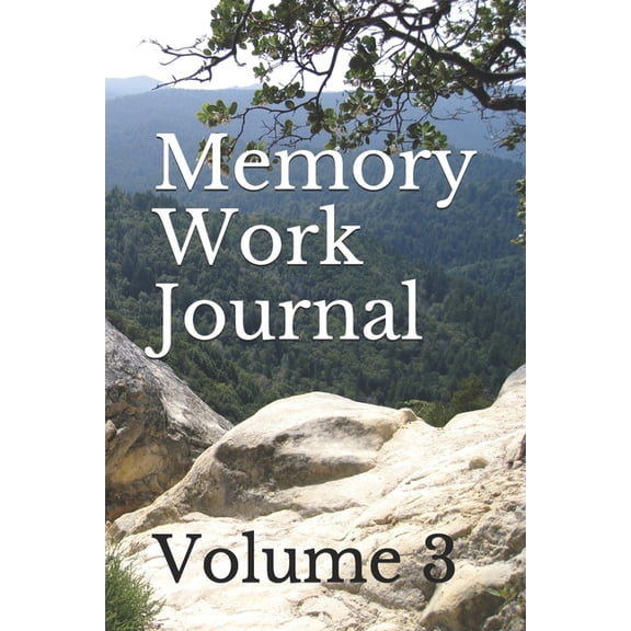 Memory Work Journal: Volume 3 (Paperback)
