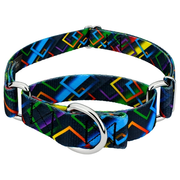 Country Brook Petz® Memphis 90s Martingale Dog Collar, Medium
