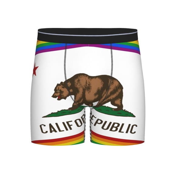 Men Boxer Briefs Fly California Gay Pride Flag Funny Cool Underwear For Men