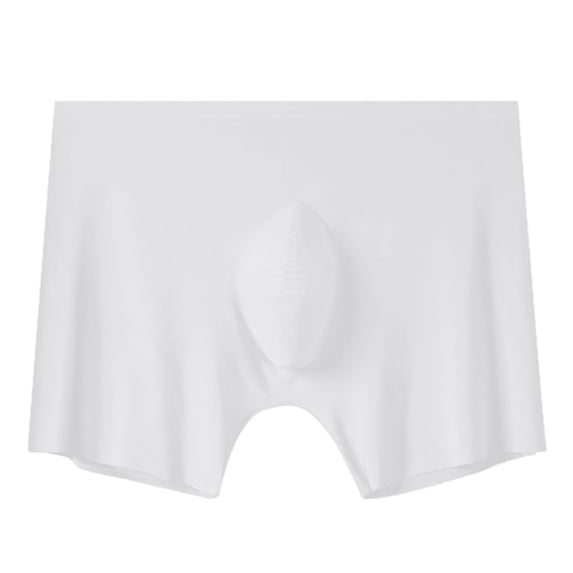 Men Breathable Ice Silk Underwear Silver Lon Style Briefs Soft Comfortable Fit Wicking Lightweight Stretch, L, White
