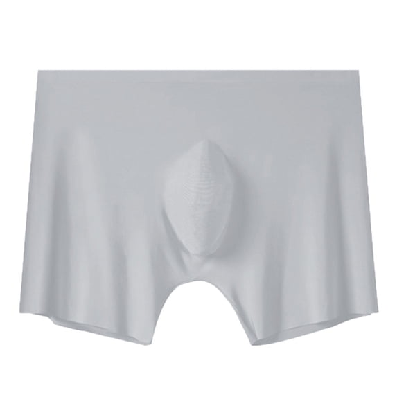 Men Breathable Ice Silk Underwear Silver Lon Style Briefs Soft Comfortable Fit Wicking Lightweight Stretch, XL, Grey