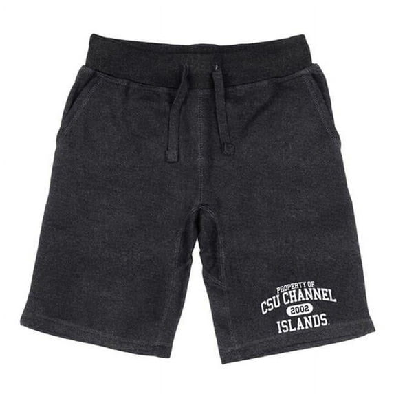 Men Cal State Channel Islands Dolphin Property Shorts, Heather Charcoal - Large