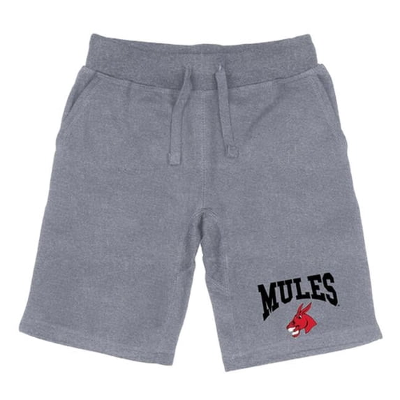 Men Central Missouri Mules Premium Shorts, Heather Grey - Extra Large