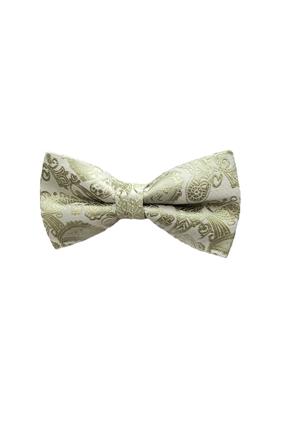 Men High Grade Colorful Paisley Bowtie Wedding Party Formal Business Bow Tie