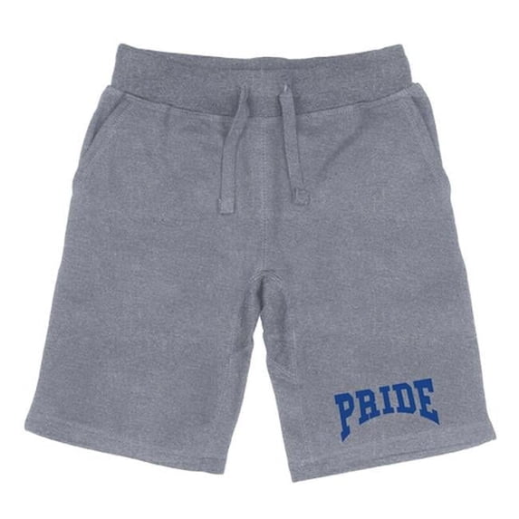 Men Hofstra University Premium Shorts, Heather Grey - Extra Large