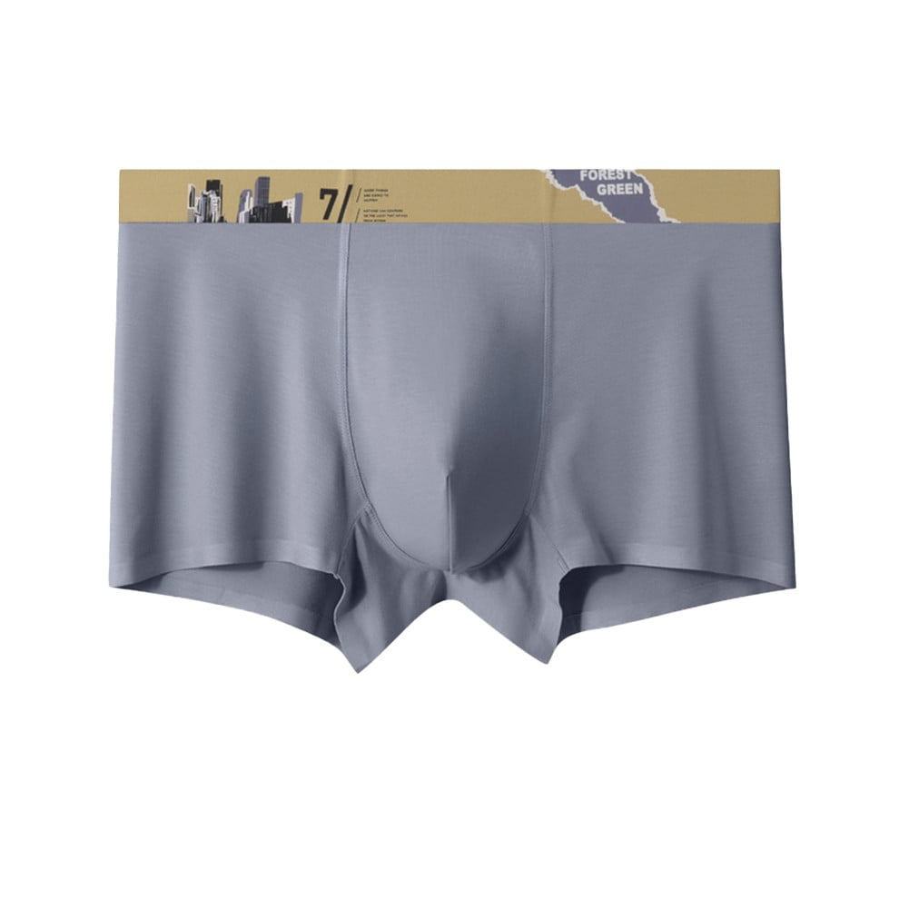 Men's Ice Silk Underwear Sexy Underwear Shorts Underpants Letter Pouch Soft  Briefs Panties