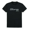 thumbnail image 1 of Men Lake Erie Storm Script T-Shirt, Black - Medium, 1 of 1