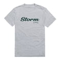 thumbnail image 1 of Men Lake Erie Storm Script T-Shirt, Heather Grey - Large, 1 of 1