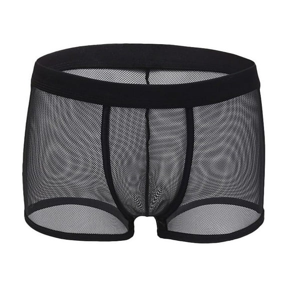 Men Mesh Boxer Briefs Thin Low Waist Transparent Sexy Underwear Pouch Panties
