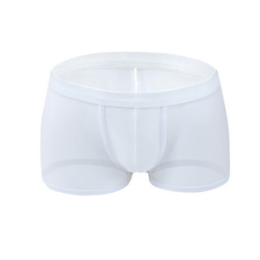 Men Mesh Boxer Briefs Thin Low Waist Transparent Sexy Underwear Pouch Panties