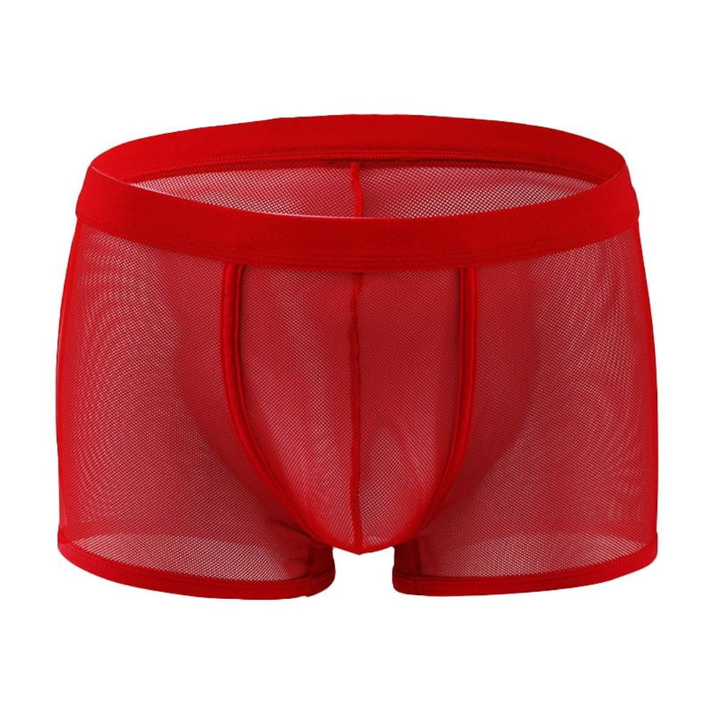 Men Mesh Boxer Briefs Thin Low Waist Transparent Underwear