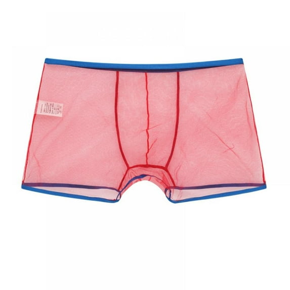 Men Mesh Boxers Transparent Boxer Shorts See Through Underwear