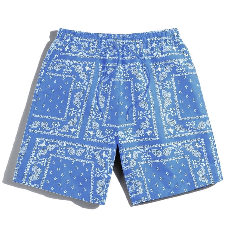Men's Blue Paisley Print Drawstring Waist Shorts, Casual Beach
