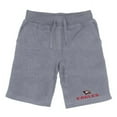 thumbnail image 1 of Men Polk State Eagles Premium Shorts, Heather Grey - 2XL, 1 of 1