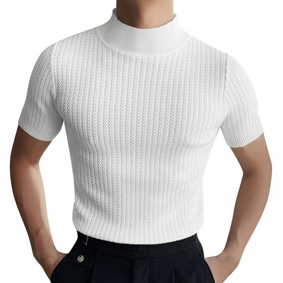 Men Regular Fit Basic Lightweight Short Sleeve Pullover Top Mock Turtleneck T-Shirt
