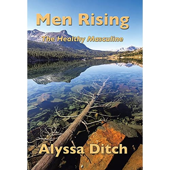 Men Rising: The Healthy Masculine (Hardcover)