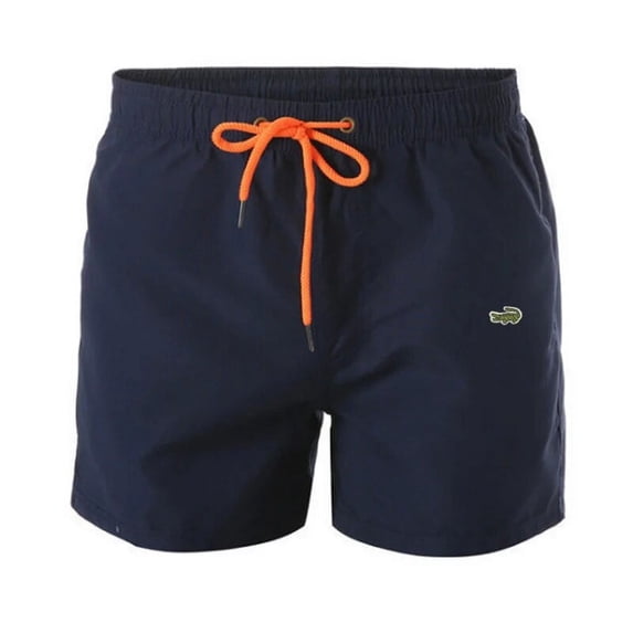 Men'S Beach Shorts Summer New Embroidered Mesh Lined Men'S Quick-Drying Swimming Shorts Casual Fitness Running Sports Shorts 4XL
