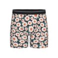 thumbnail image 1 of Men'S Boxer Briefs, Blue Leaves Daisies Flowers Soft And Breathable Mens Underwear Boxer Briefs With Widen Waist, 1 of 2