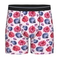thumbnail image 1 of Men'S Boxer Briefs, Blueberries Berry Pattern Soft And Breathable Mens Underwear Boxer Briefs With Widen Waist, 1 of 2