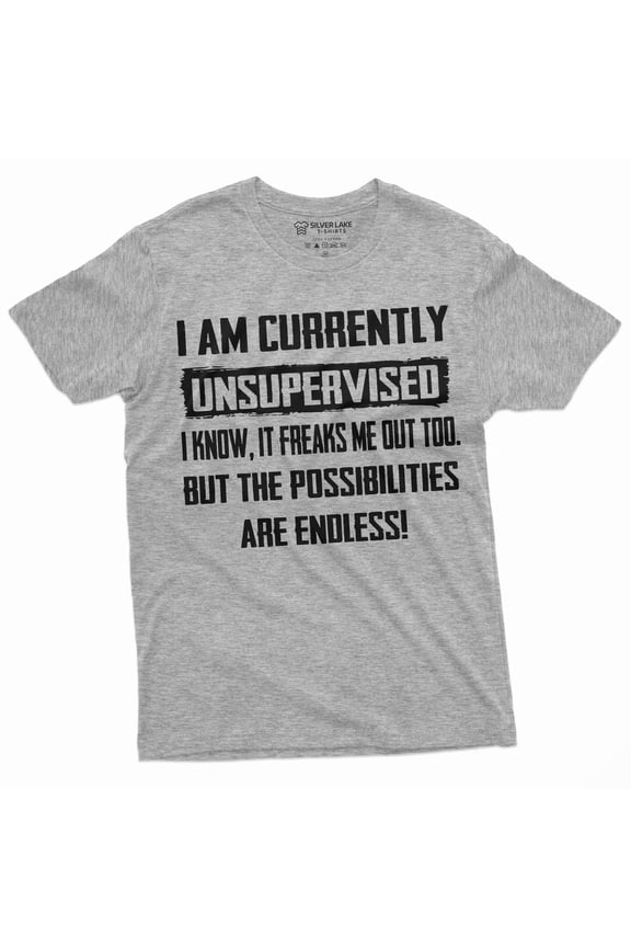Men'S Funny T-Shirt I Am Currently Unsupervised T-Shirt Hilarious Funny Saying Tee For Him (Medium Grey)